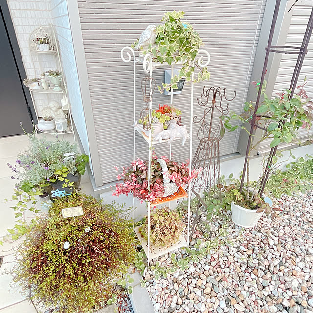 akiko-ovさんの実例写真