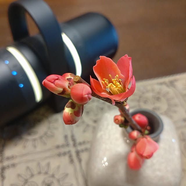 38catさんの部屋