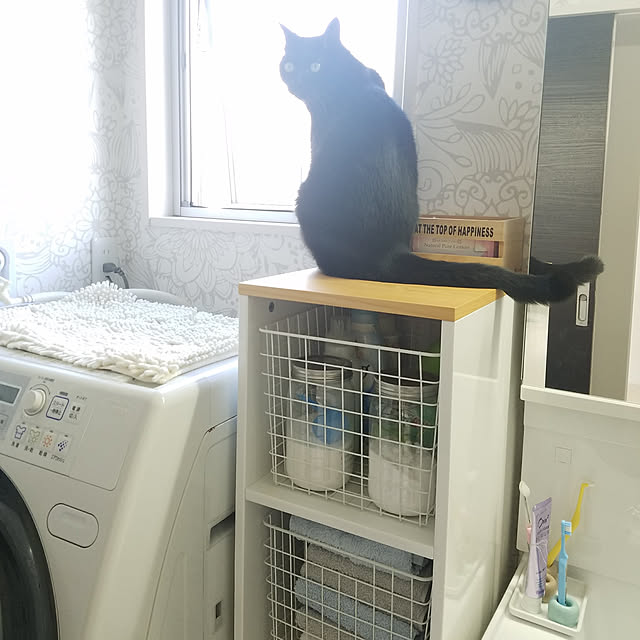 バス/トイレ/ねこのいる暮らし/注文住宅のインテリア実例 - 2017-09-24 09:29:29