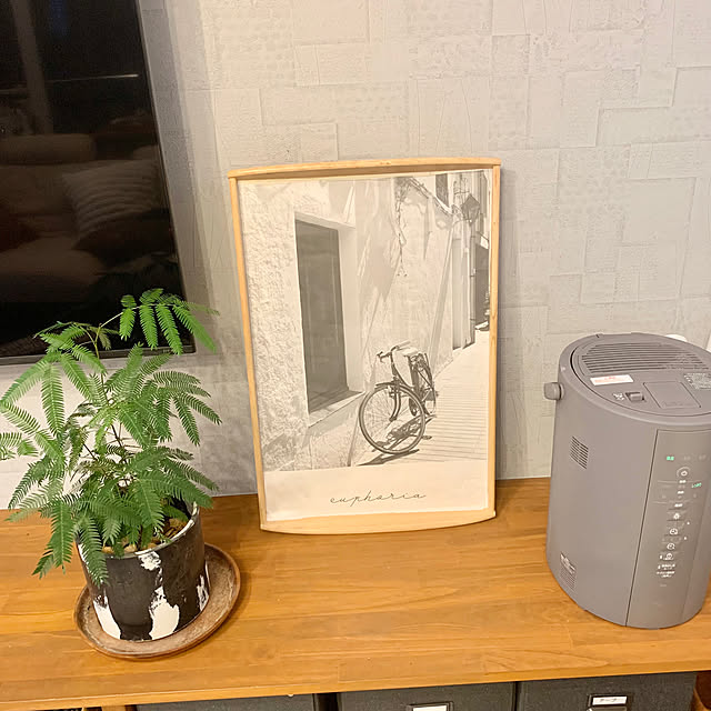 Minteaさんの部屋