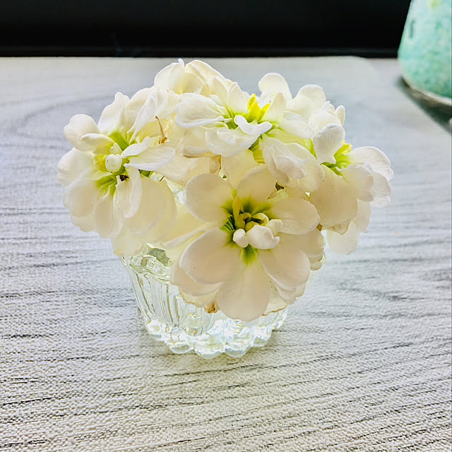 mamaさんの実例写真