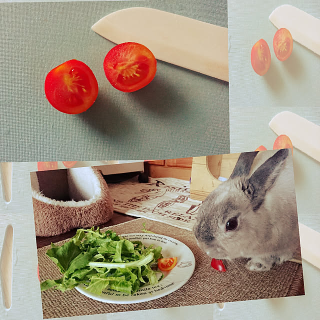 yokomokoさんの実例写真