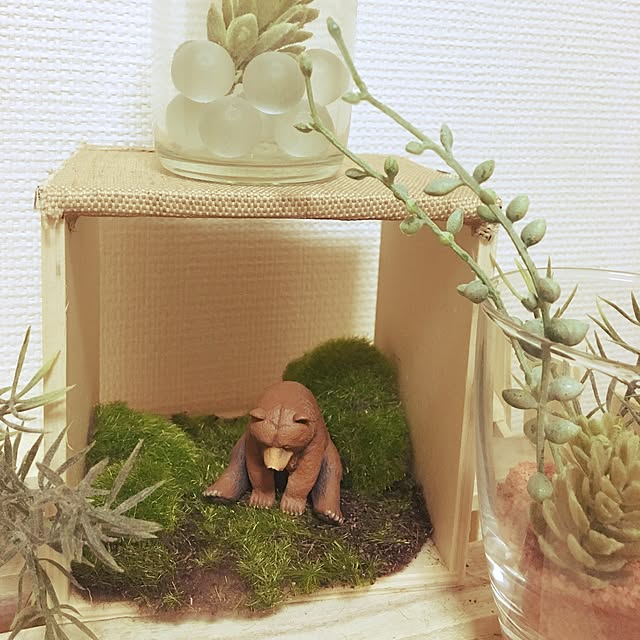 SaChiさんの実例写真