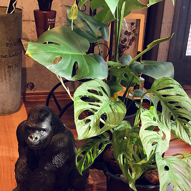 reomamaさんの実例写真