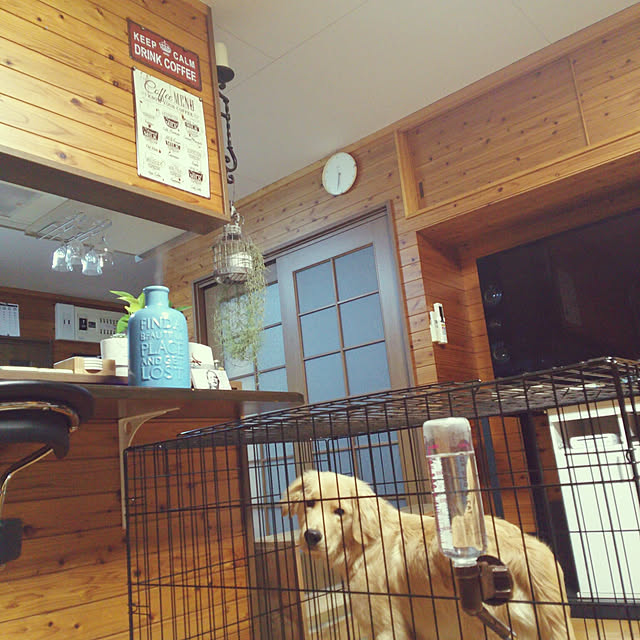 woodyさんの実例写真