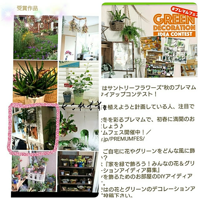 okameさんの実例写真