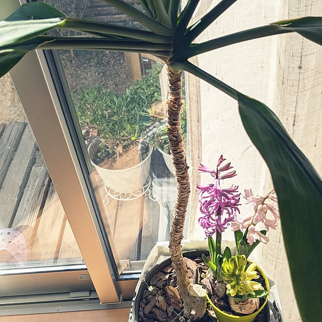 mofukoさんの部屋