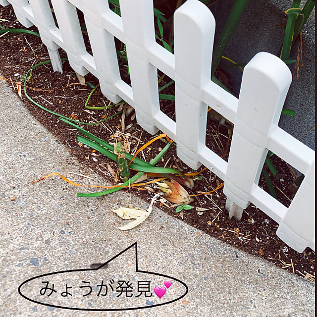 kittyさんの実例写真