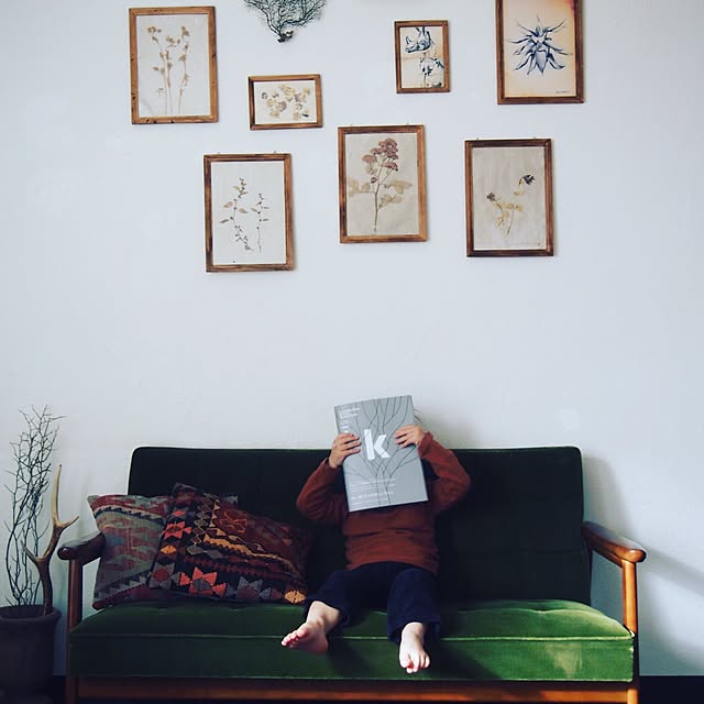 romimushiさんの実例写真