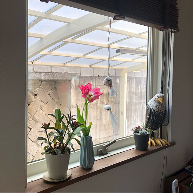 Shintaさんの部屋