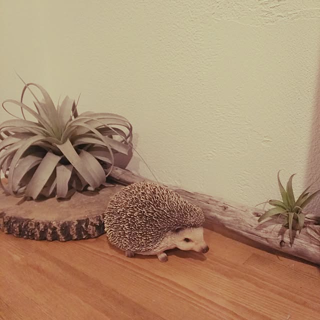 4165さんの実例写真