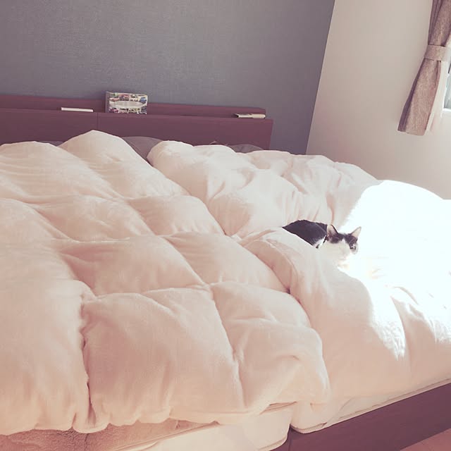56chanさんの実例写真