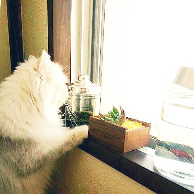 hiroko5410さんの実例写真