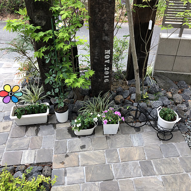 mi....さんの実例写真