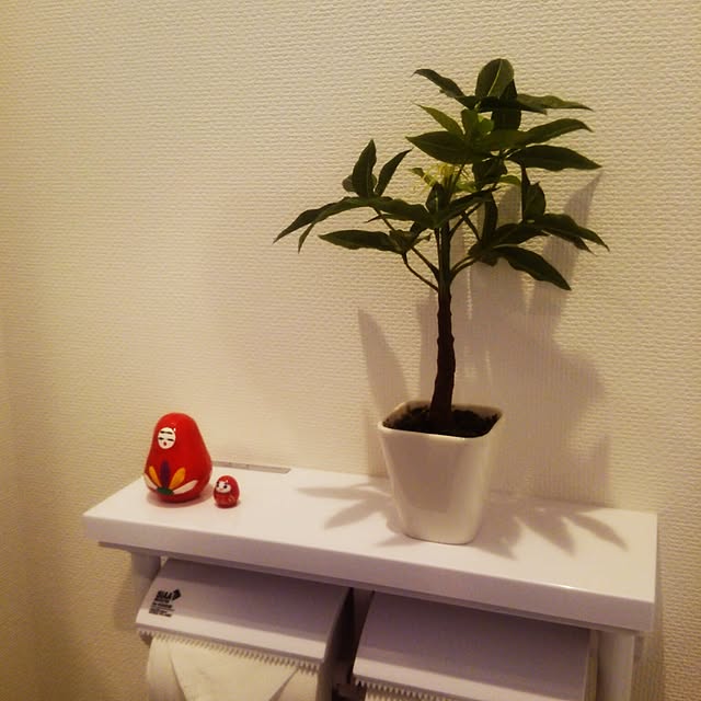 Ekonさんの実例写真