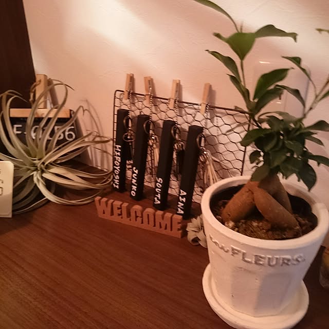 soaimさんの実例写真