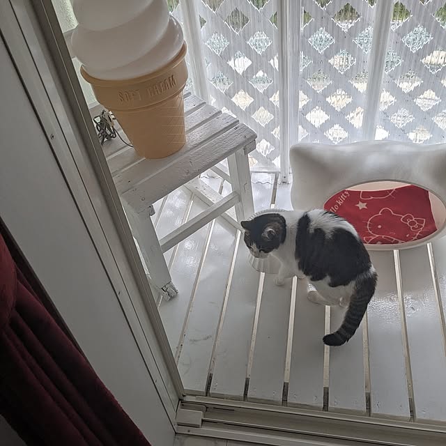 machikomamaさんの部屋