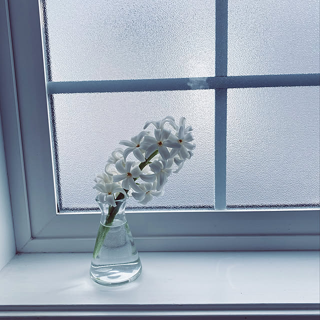 misacoさんの実例写真