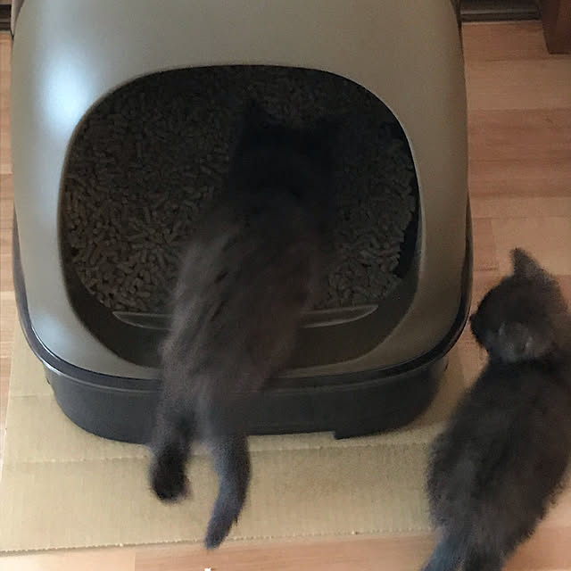 daikichiさんの実例写真