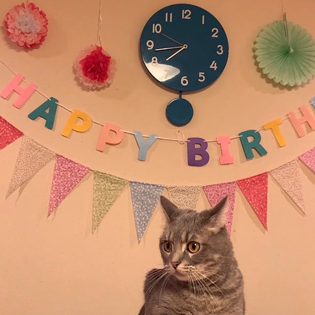 Mimiさんの実例写真