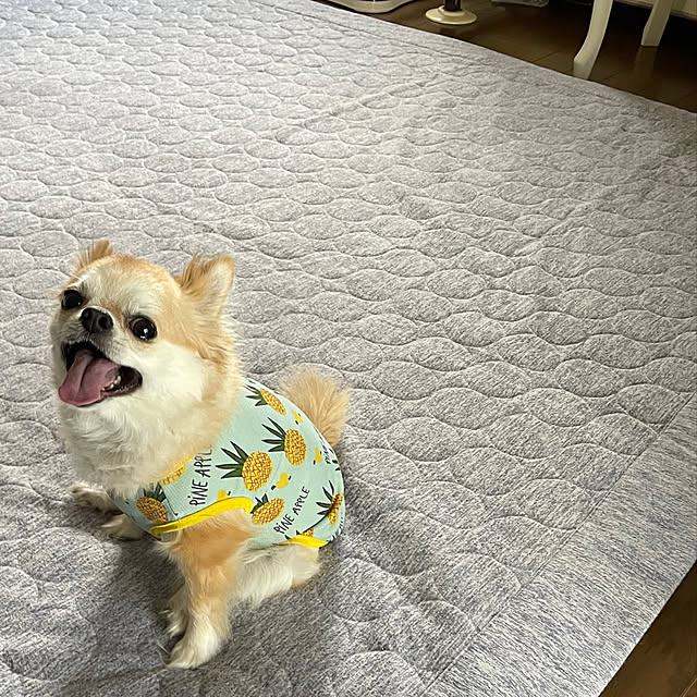 natsumiさんの部屋