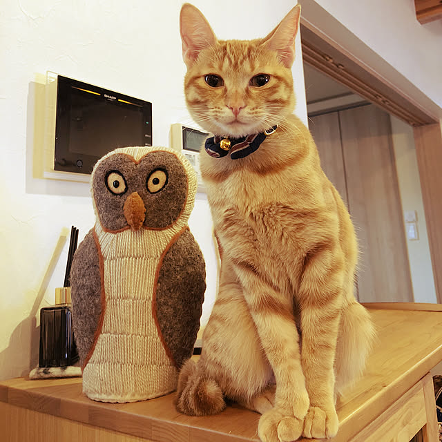 takakoさんの実例写真