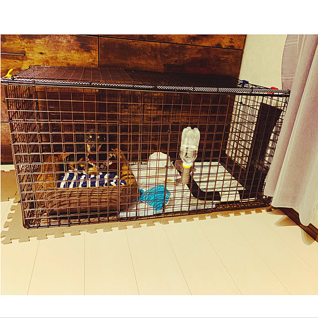 akipuさんの実例写真