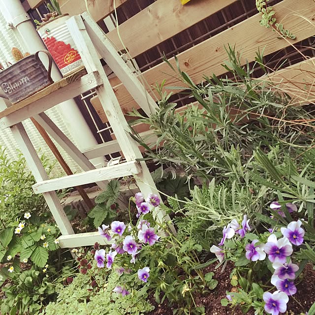 tarorinさんの実例写真