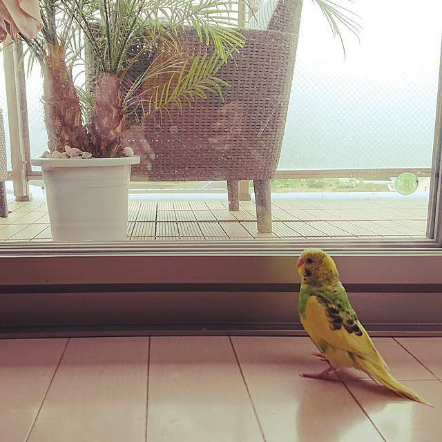 kyonさんの実例写真