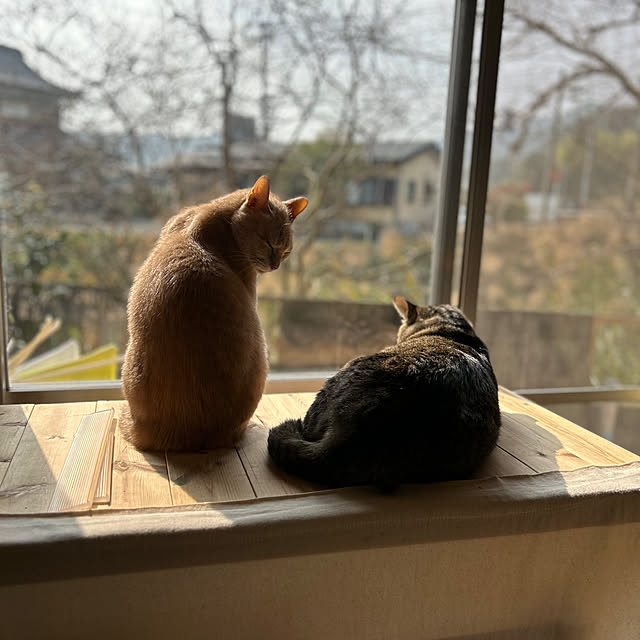 mikan161さんの部屋