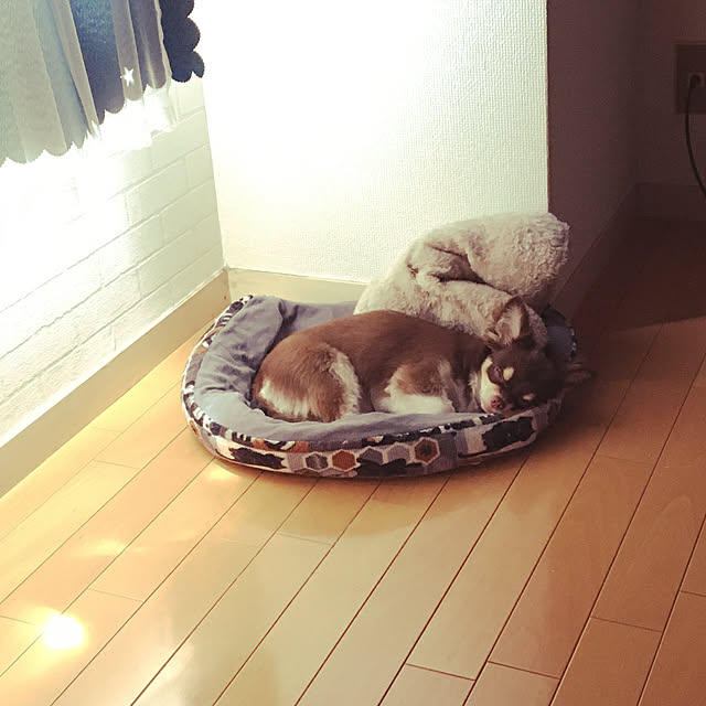 mofuchiさんの実例写真