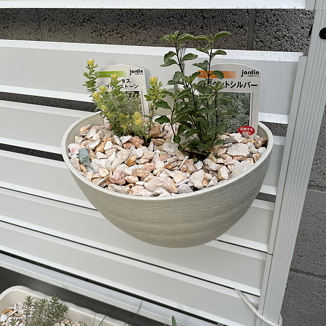sakさんの部屋