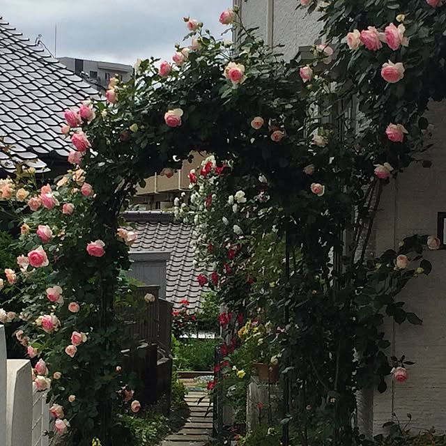 angelrose.yuuさんの実例写真
