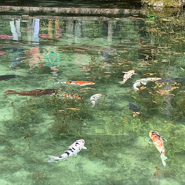 実例写真