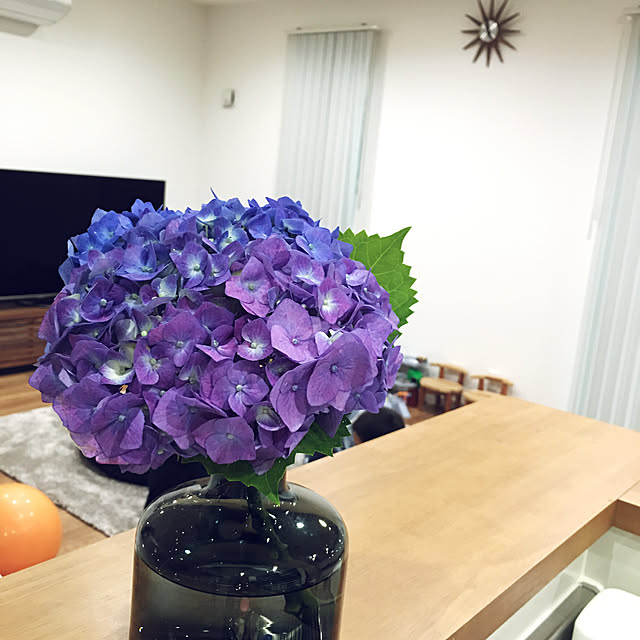 curoさんの実例写真