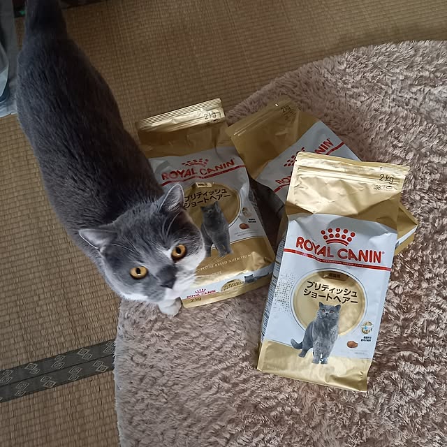 rhuさんの実例写真