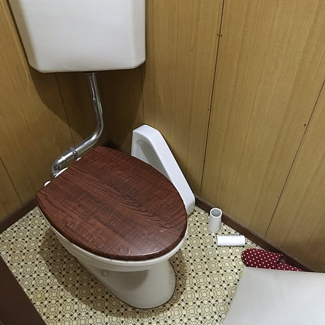 バス/トイレ/このトイレはひたすらお星様を頑張ったのだ/沢山のいいねとフォローをありがとう/観葉植物/雑貨...などのインテリア実例 - 2017-04-13 15:15:09