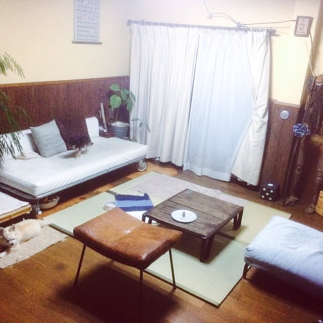 実例写真
