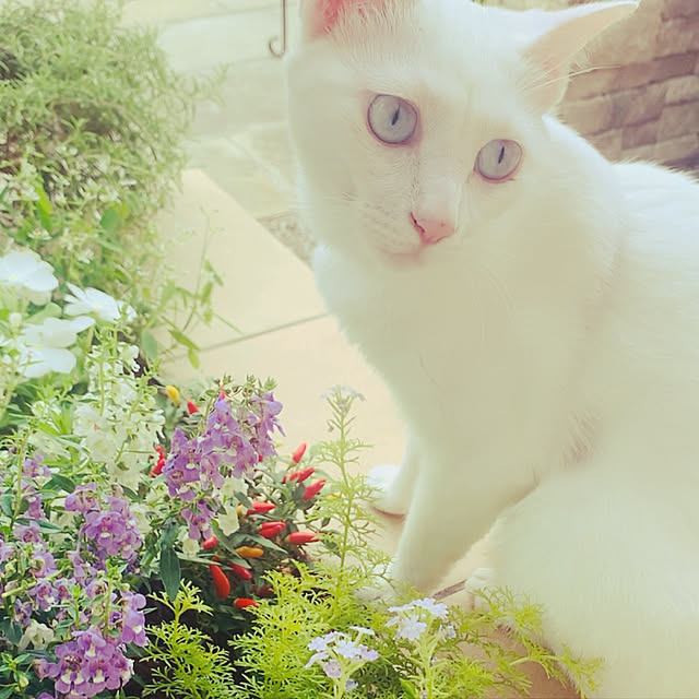 UMiさんの実例写真