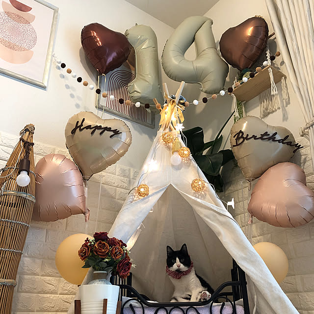 mikenekoさんの実例写真