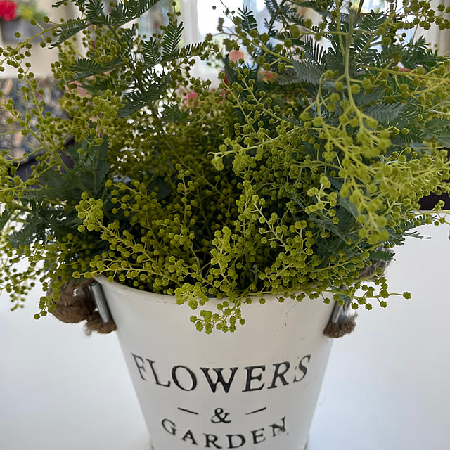 Andaluciaさんの実例写真