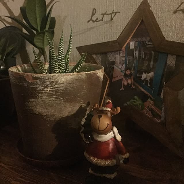 kiyomiさんの実例写真