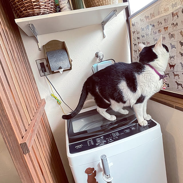 nekosamaさんの部屋