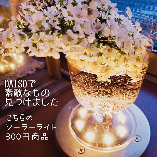 Mikaさんの実例写真