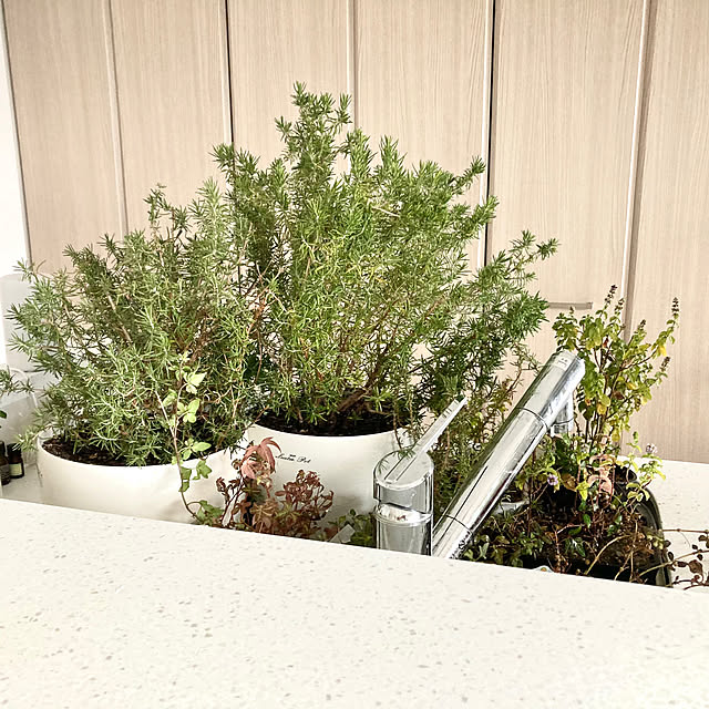 maki_papercraftさんの実例写真