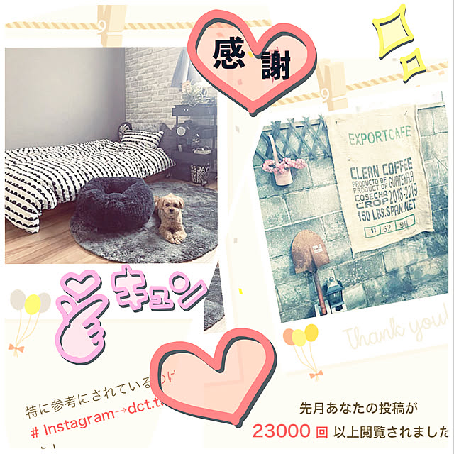 ikt.tamaさんの実例写真