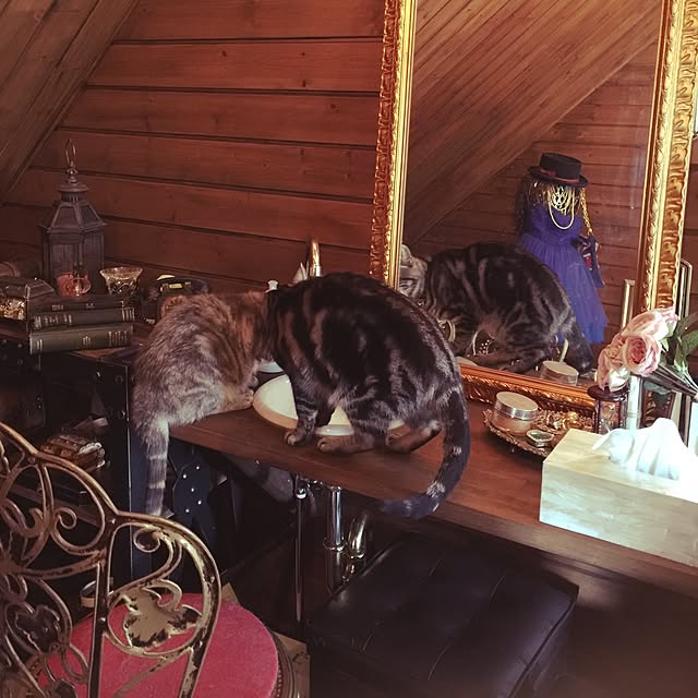 nopezさんの実例写真