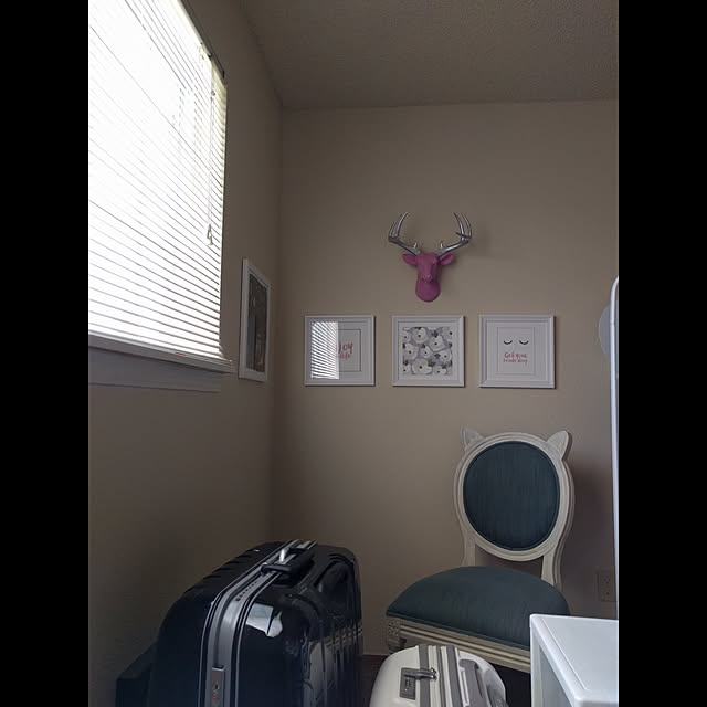 blinkie_003さんの実例写真
