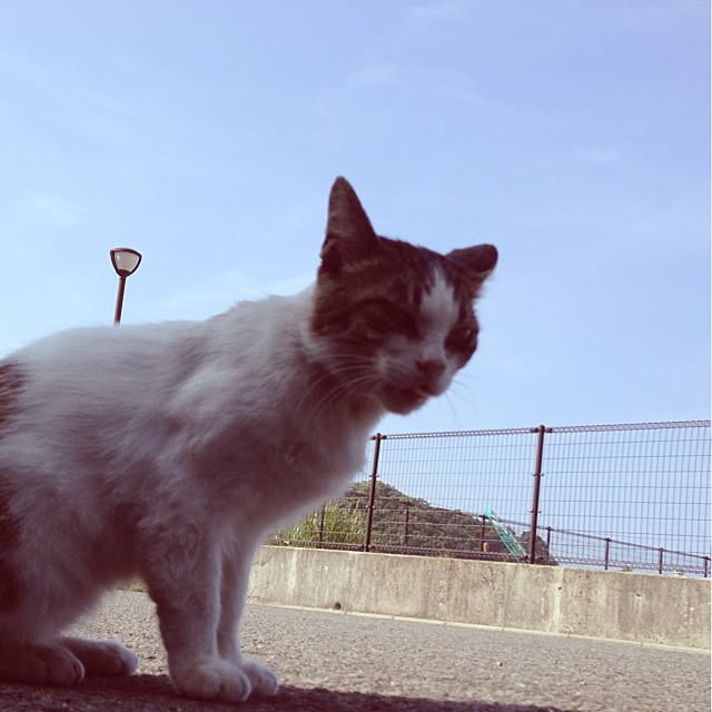 mobiri57さんの実例写真