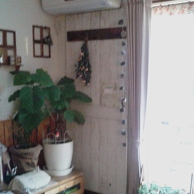 383junkさんの実例写真